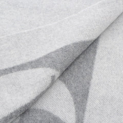 Louis Vuitton Echarpe Cardiff Grey Scarf Louis Vuitton Echarpe Cardiff Grey Scarf