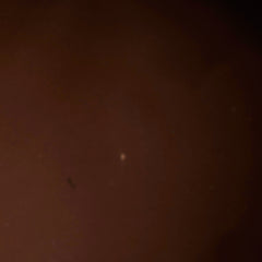 Louis Vuitton Speedy 40 Bandouliere Monogram Louis Vuitton Speedy 40 Bandouliere Monogram