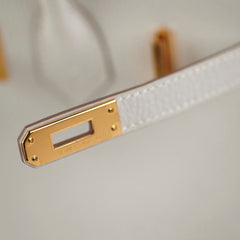 Hermes Birkin 25 Togo Gris Pale Hermes Birkin 25 Togo Gris Pale