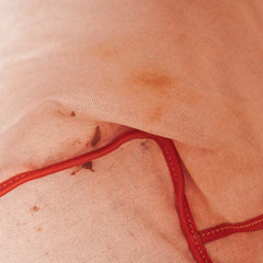 Goyard St Louis PM Orange Tote Goyard St Louis PM Orange Tote