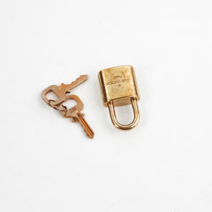 Louis Vuitton Speedy 30 Louis Vuitton Speedy 30