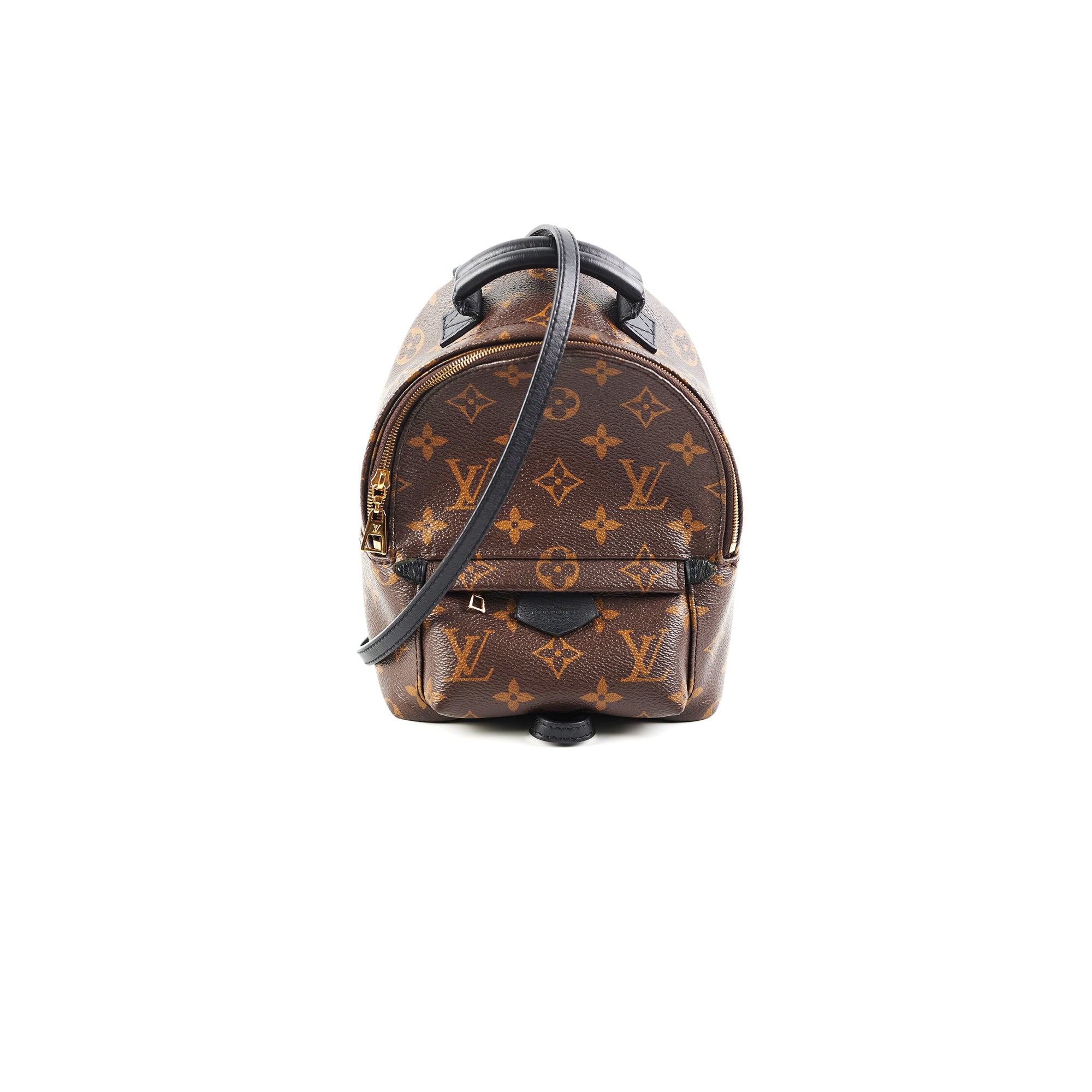 louis vuitton backpack with zipper Louis Vuitton Palm Spring Mini Monogram Backpack New Style Zipper