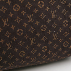 Louis Vuitton Speedy 25 Denim Monogram Louis Vuitton Speedy 25 Denim Monogram