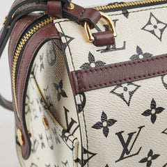 Louis Vuitton Amazon Speedy PM Monogram Louis Vuitton Amazon Speedy PM Monogram
