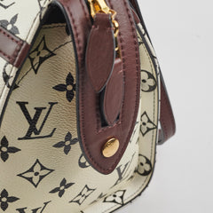 Louis Vuitton Amazon Speedy PM Monogram Louis Vuitton Amazon Speedy PM Monogram