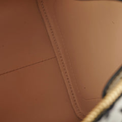 Louis Vuitton Amazon Speedy PM Monogram Louis Vuitton Amazon Speedy PM Monogram