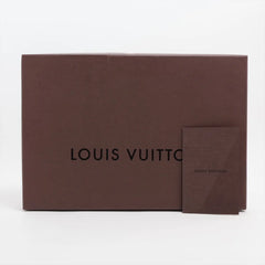 Louis Vuitton Echarpe Logomania Scarf Brown