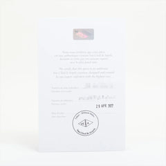 Van Cleef & Arpels Sweet Alhambra Papillon Mother of Pearl Necklace 2022