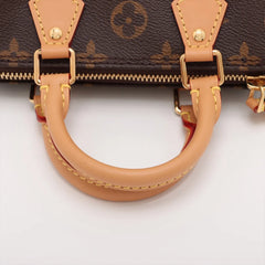 Louis Vuitton Monogram Nano Speedy