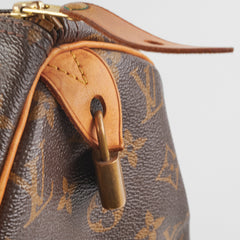 Louis Vuitton Speedy 30 Monogram