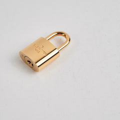 Louis Vuitton Alma PM Damier Ebene