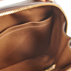 Louis Vuitton Utility Monogram Crossbody