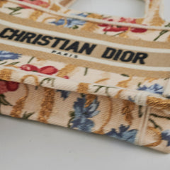 Christian Dior Mini Book Tote