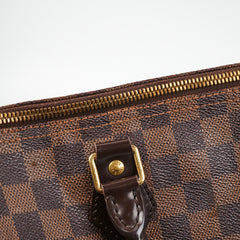 Louis Vuitton Speedy 30 Damier Ebene