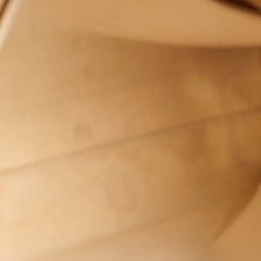 Louis Vuitton Tuileries Hobo Monogram