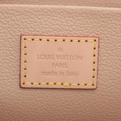 Louis Vuitton Monogram Nice Mini Case