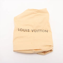 Louis Vuitton Multicolour Speedy 30