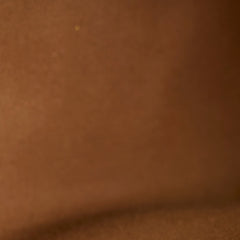 Louis Vuitton Tivoli PM Monogram