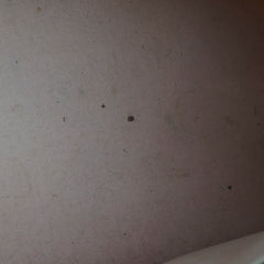 Louis Vuitton Alma Vernis PM Beige