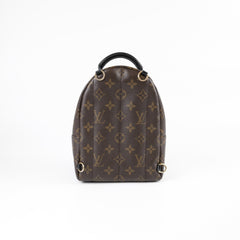 Louis Vuitton Palm Springs Mini