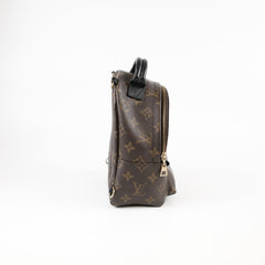 Louis Vuitton Palm Springs Mini