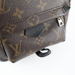 Louis Vuitton Palm Springs Mini