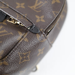 Louis Vuitton Palm Springs Mini