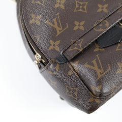 Louis Vuitton Palm Springs Mini