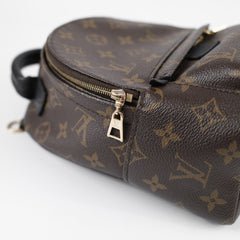 Louis Vuitton Palm Springs Mini