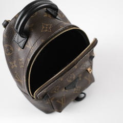 Louis Vuitton Palm Springs Mini