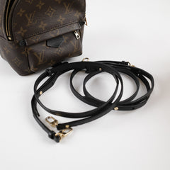 Louis Vuitton Palm Springs Mini