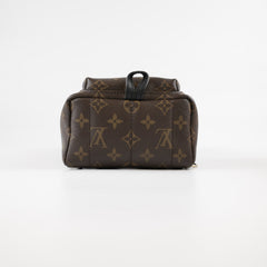 Louis Vuitton Palm Springs Mini