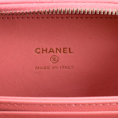 Chanel Pick Me Up Vanity Lambskin Pink