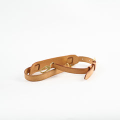 Louis Vuitton Retiro Monogram PM