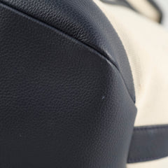 Dior x Kaws Canvas Bee Tote