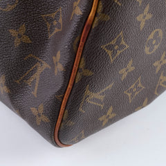 Louis Vuitton Speedy 30 Monogram