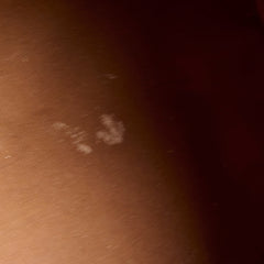 Louis Vuitton Speedy 40 Monogram