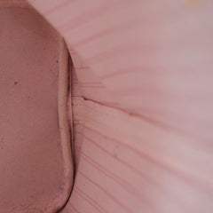 Louis Vuitton Neverfull MM Damier Ebene