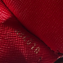 Louis Vuitton Papillon 30 Damier Ebene Set