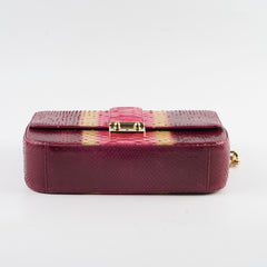 Christian Dior Miss Dior Python Flap Bag Multicolor
