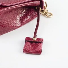 Christian Dior Miss Dior Python Flap Bag Multicolor