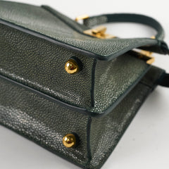 Fendi Micro Peekaboo Galuchat Precious Skin