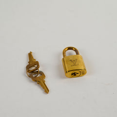 Louis Vuitton Speedy 25 Bandoulière Damier Ebene( with hot stamp)