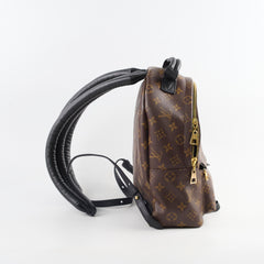 Louis Vuitton Palm Spring PM Monogram Backpack