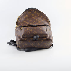 Louis Vuitton Palm Spring PM Monogram Backpack