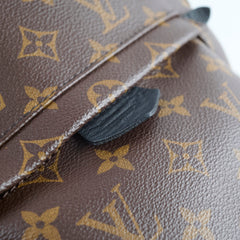 Louis Vuitton Palm Spring PM Monogram Backpack