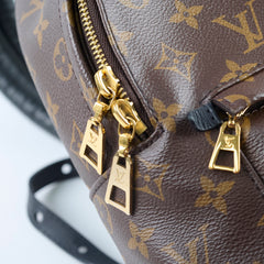 Louis Vuitton Palm Spring PM Monogram Backpack