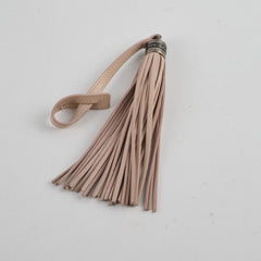 Saint Laurent Camera Bag Blush