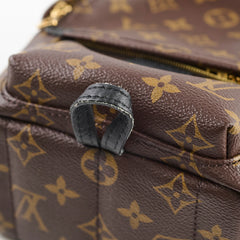 Louis Vuitton Mini Palm Spring Backpack Monogram