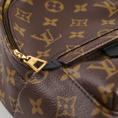 Louis Vuitton Mini Palm Spring Backpack Monogram